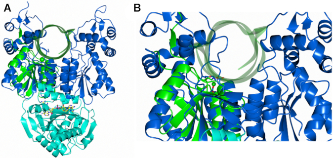 Figure 7.