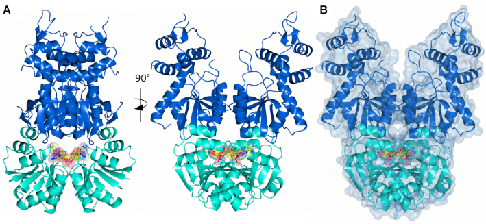 Figure 4.