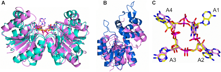 Figure 5.