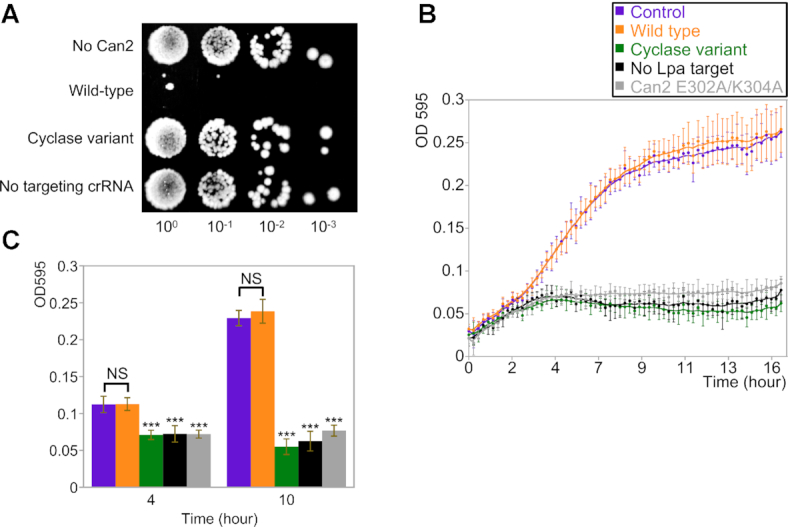 Figure 3.