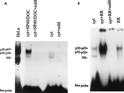 FIG. 1