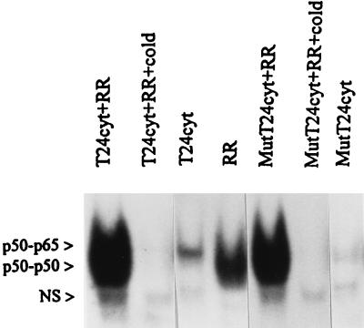 FIG. 7