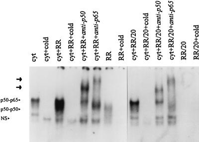 FIG. 3