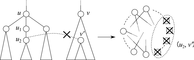 Fig. 8.