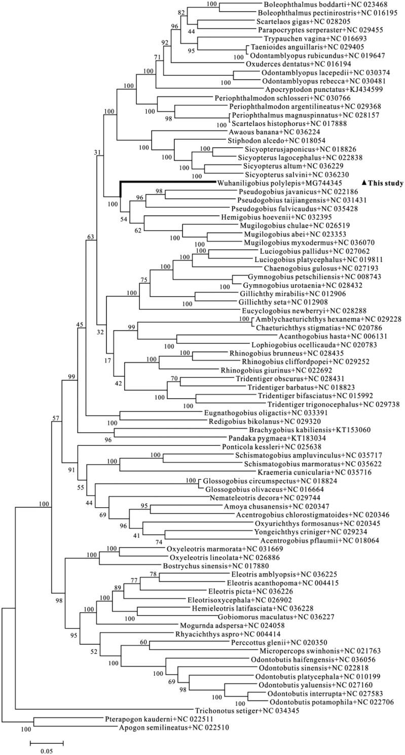 Figure 1.