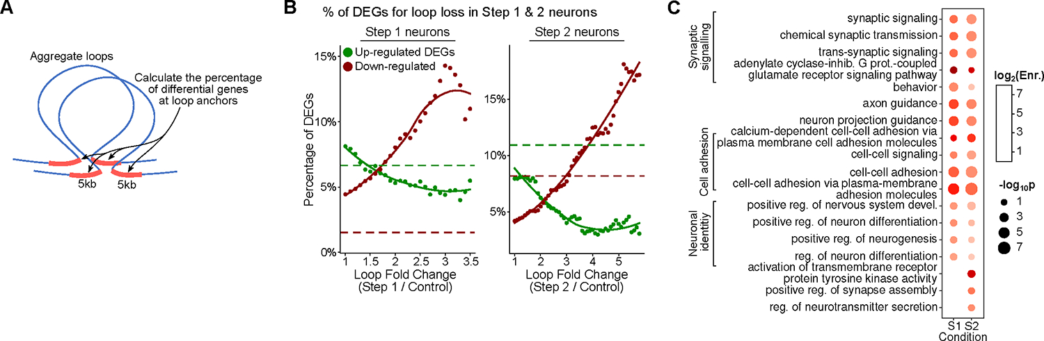 Figure 5: