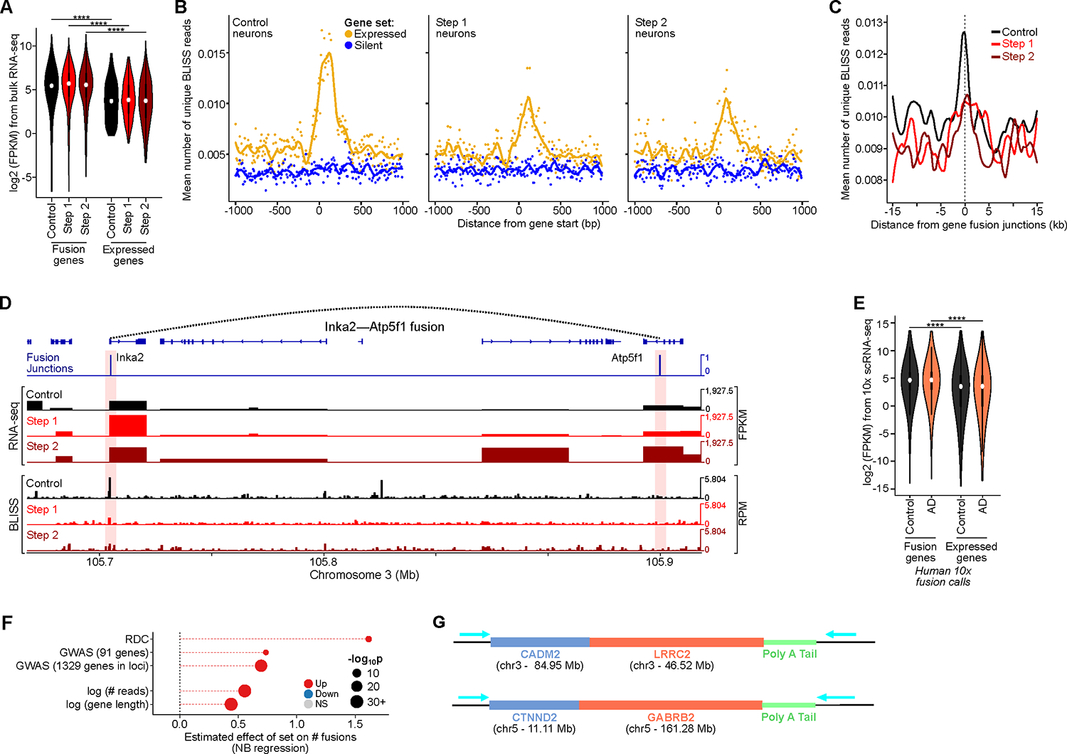 Figure 2: