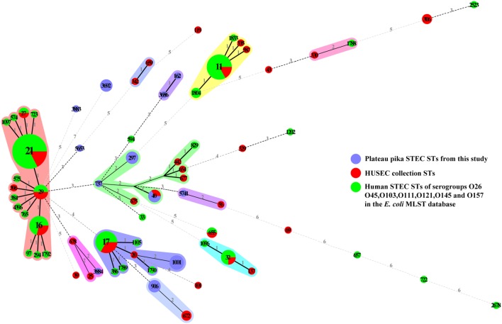 FIGURE 2