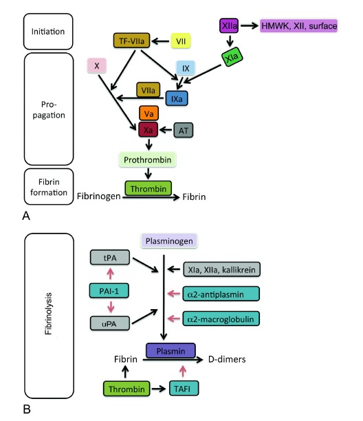 Fig. (2)