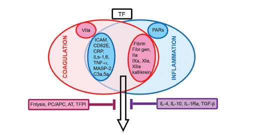 Fig. (3)