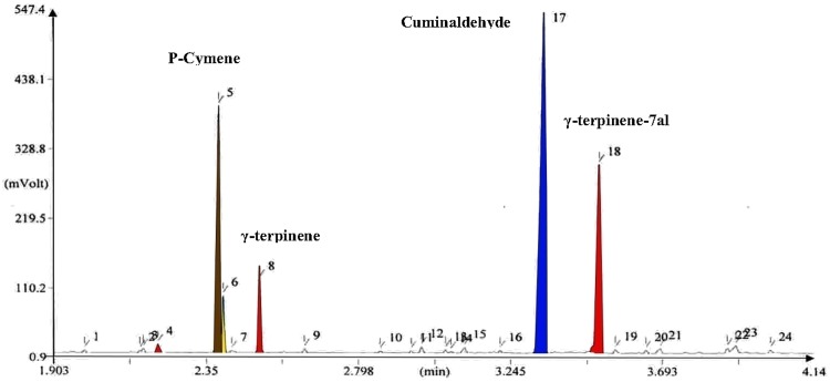 Fig. 3