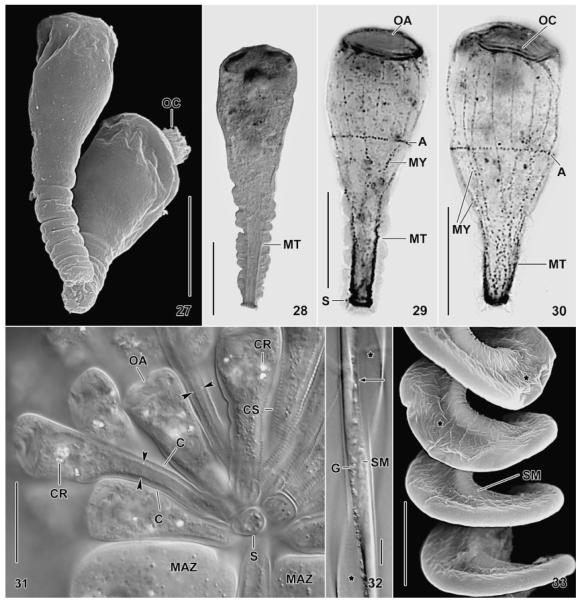 Fig. 27–33