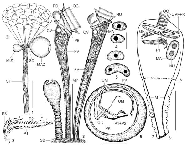 Fig. 1–7