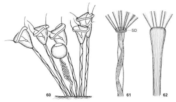 Fig. 60–62