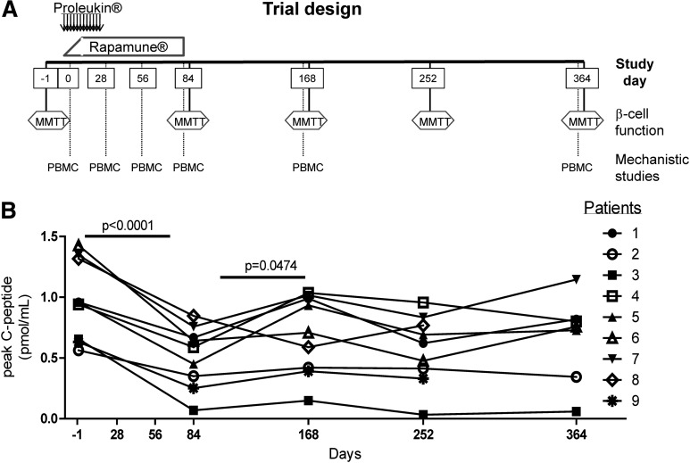 Rapamycin/IL-2 Combination Therapy in Patients With Type 1 Diabetes ...