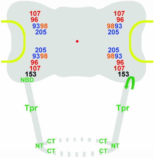 Figure 10.