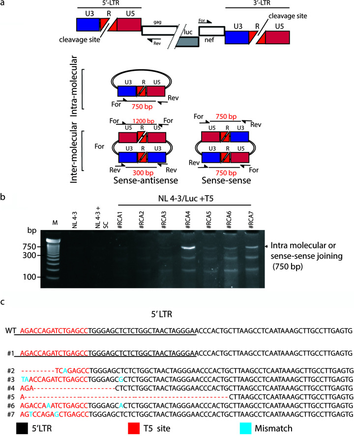 FIG 3