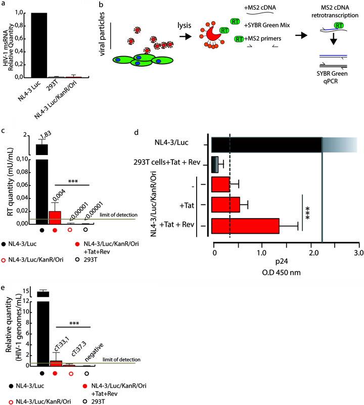 FIG 6