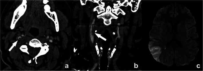 Fig. 7