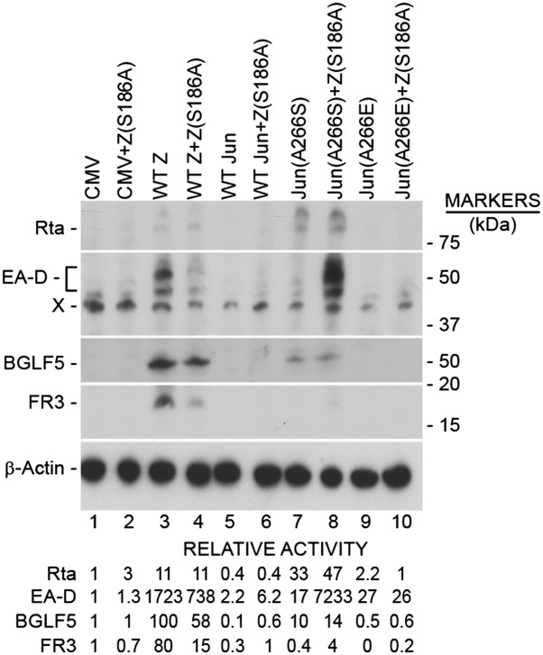 Fig. 3.