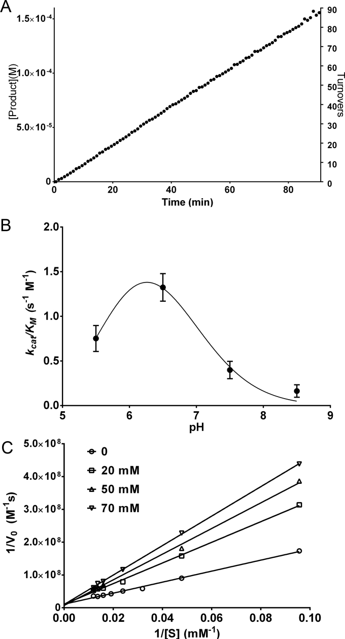 Fig. 4.