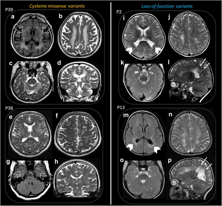 Fig. 4