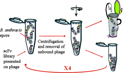 FIG. 1.