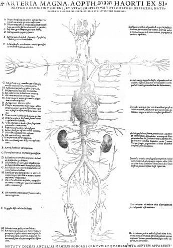 Figure 2a