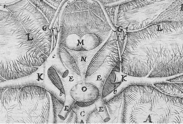 Figure 4b