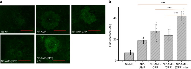 Fig. 4