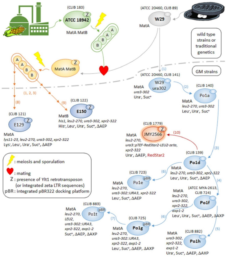 Figure 2