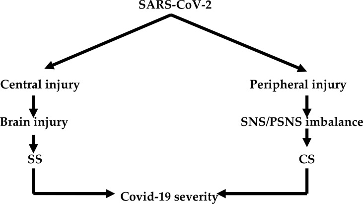 Figure 1