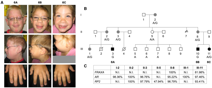 Figure 3