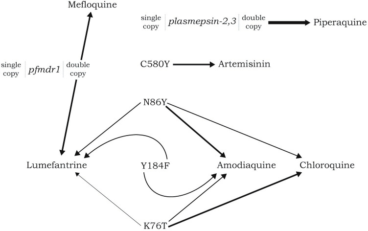 Fig 2