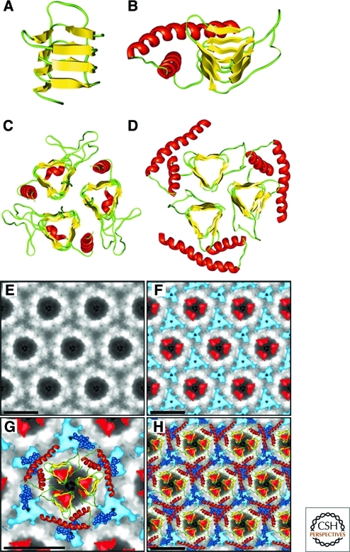 Figure 5.