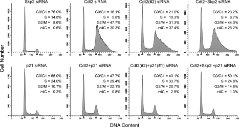 Figure 6.