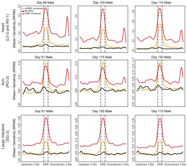 Extended Data Figure 5