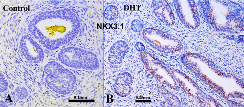 Figure 18.