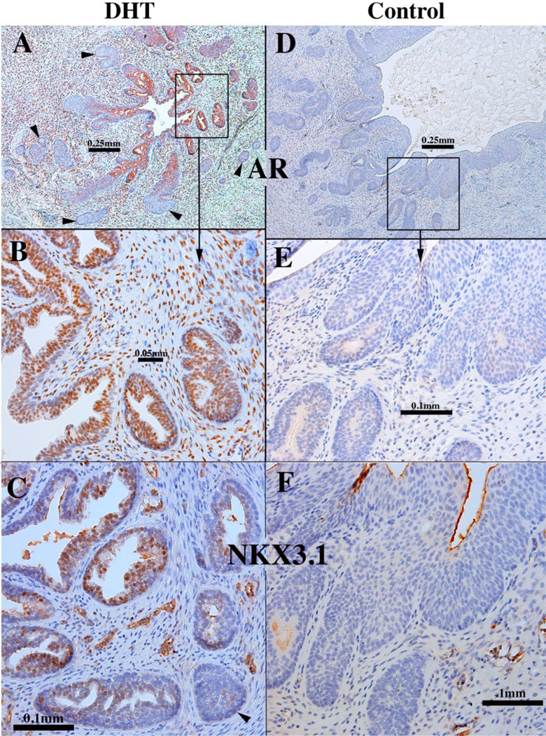 Figure 21.