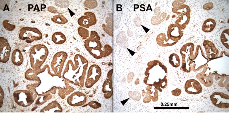 Figure 22.