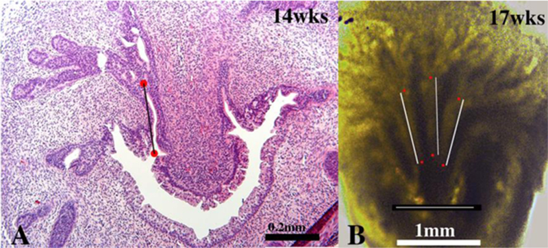 Figure 12.