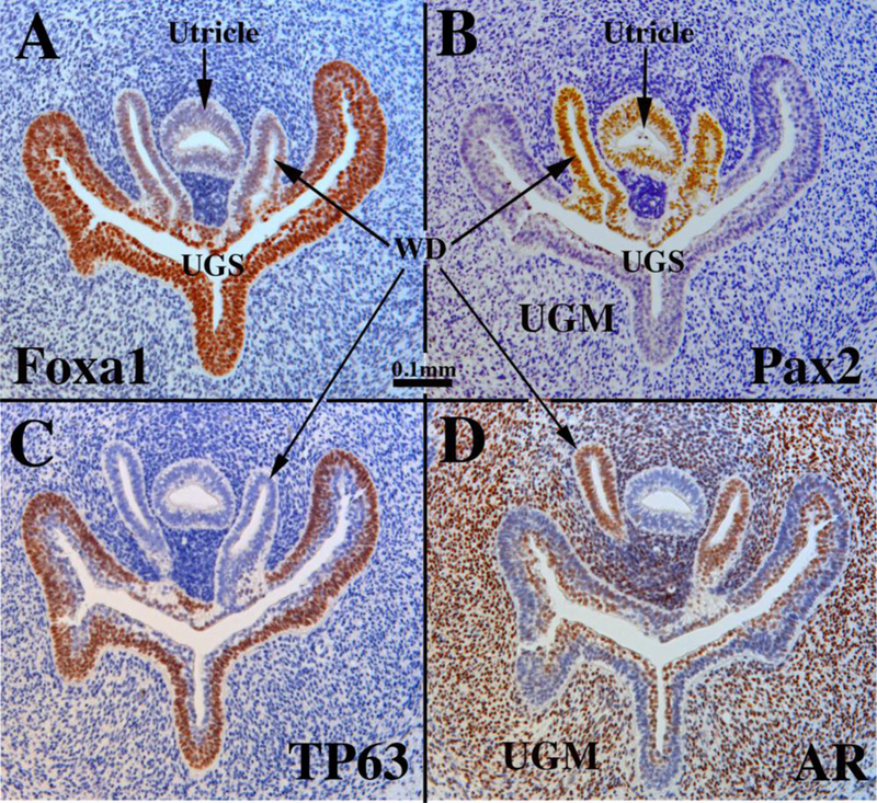 Figure 6.