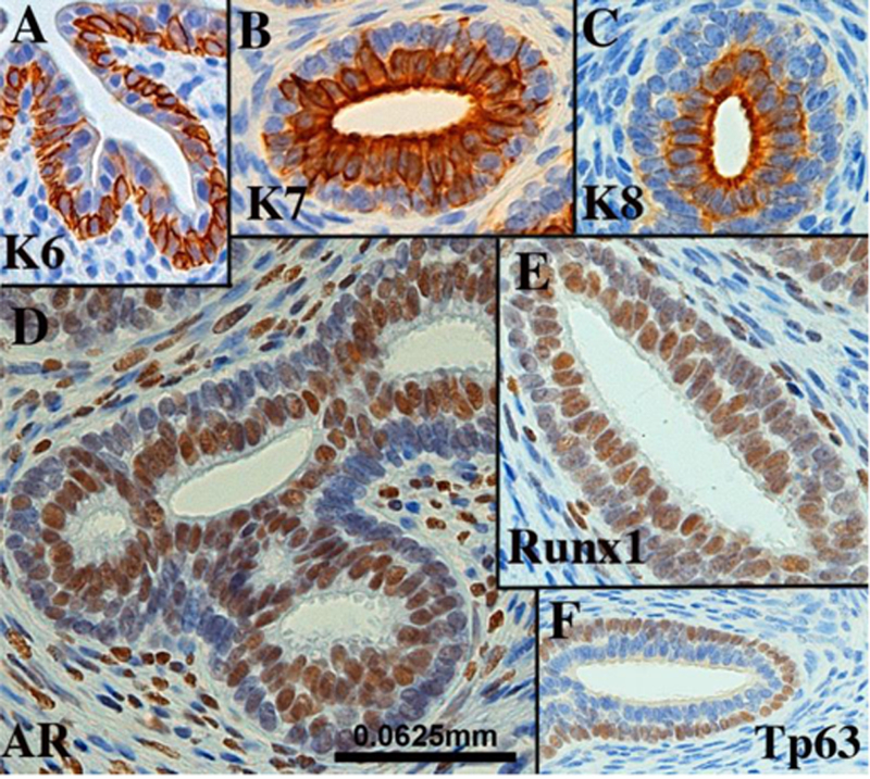 Figure 13.