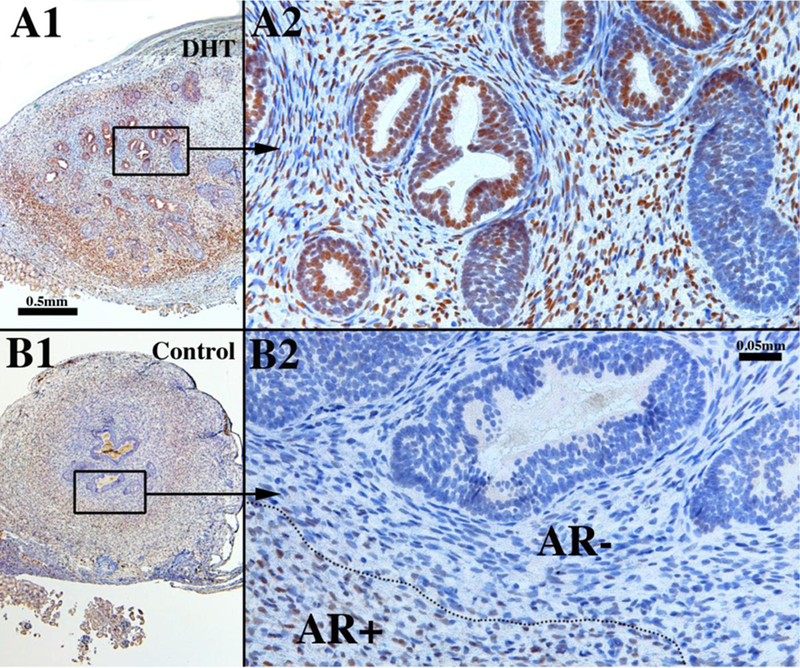 Figure 16.