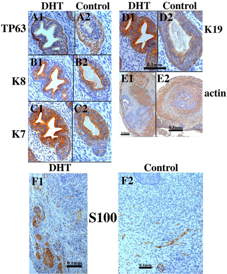 Figure 17.