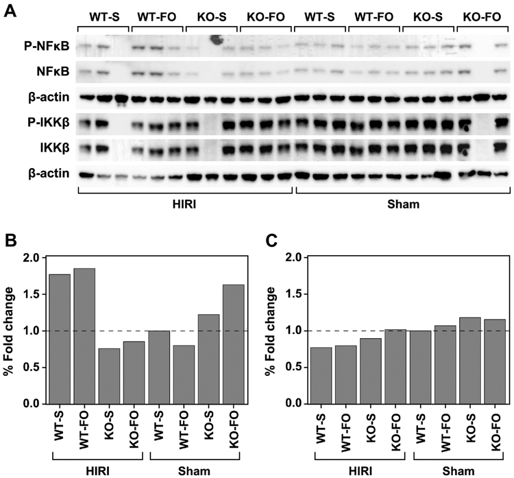 Figure 5: