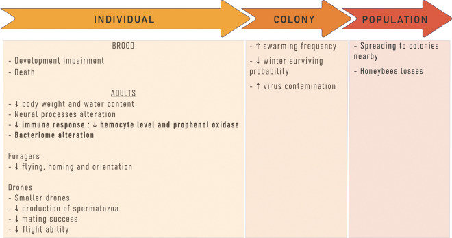 Figure 1.