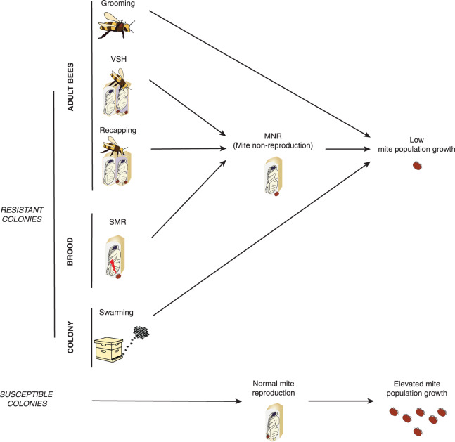 Figure 3.