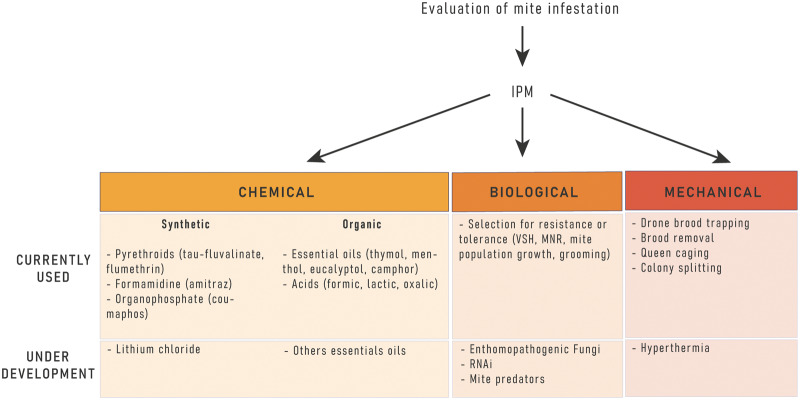 Figure 2.