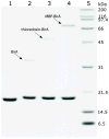 Fig. 10